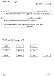 ABL_Kleine_Baumkunde_Silbentrennung_3_Verschiedenes