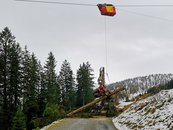 12. Holzbahnen image-54331