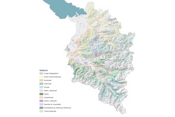 b. Waldkarte Vorarlberg II image-54155