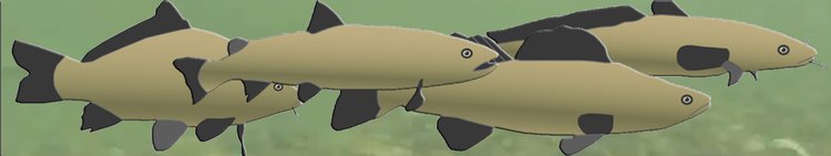 Natur-3500113-Fische-Krebs-00d-1920x360-mit-Wasser