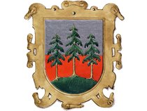 a. Wappen von Bizau image-59764