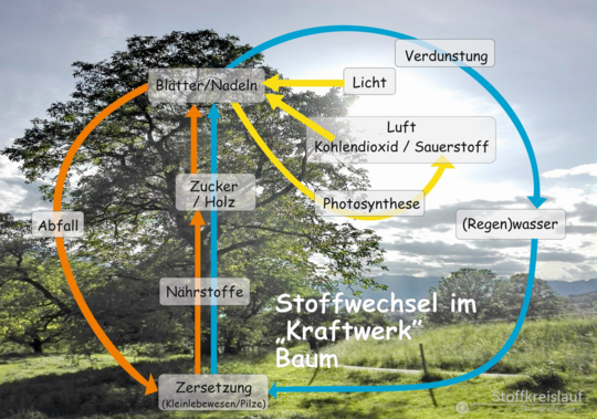 14_Stoffkreislauf