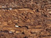 17. Schadeinflüsse image-54362