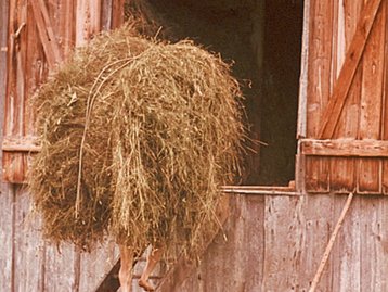 13. Schochenträger image-7051