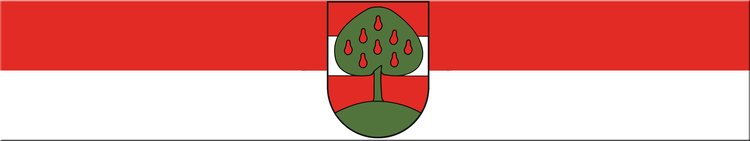 Slider-Dornbirn-Fahne-1920x360