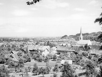 24. Unteres Rheintal - Schwarzach image-16146