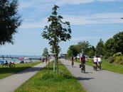 08. Geh- und Radwege um den Bodensee image-68371