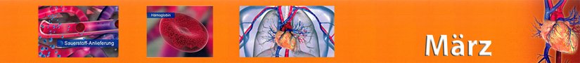 Slider-Bildungsmedien-Maerz-26-einzeilig