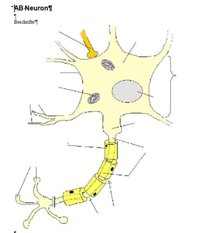 bioonline.jpg