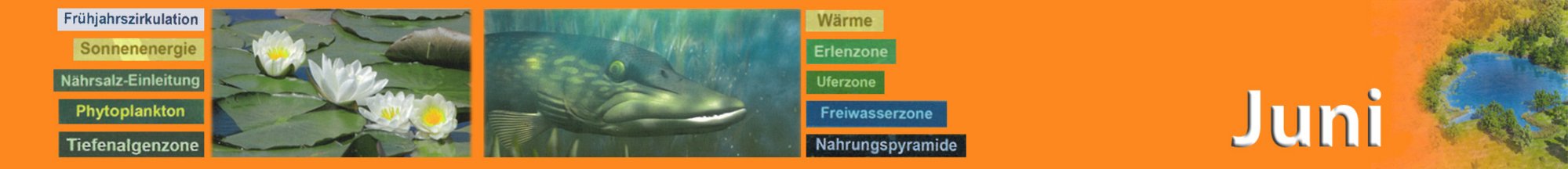 Slider-Bildungsmedien-Juni-24-1-einzeilig