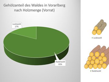 01b. Gehölzerverteilung nach Holzmenge (Vorrat) image-54229