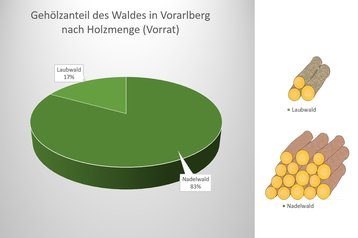 01b. Gehölzerverteilung nach Holzmenge (Vorrat) image-54263