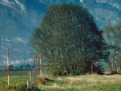 02. Künstlicher Grenzverlauf im Tal image-73745