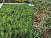 04. Landesforstgarten image-54323