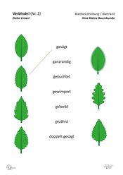 ABL_Kleine_Baumkunde_Verbinde_2_Blattbeschreibung