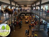 11. Inatura - Erlebnis Naturschau Dornbirn image-6771