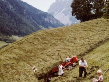 27. Bergbauernarbeit image-12475