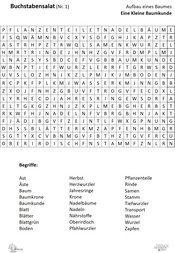 ABL_Kleine_Baumkunde_Buchstabensalat_1_Aufbau_eines_Baumes