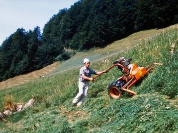 14. Heuarbeit image-6990