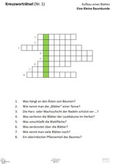 ABL_Kleine_Baumkunde_Kreuzzwortraetsel_1_Aufbau_eines_Blattes