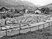 15b. Historische Holzbringung: Trift image-54336