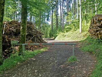 11. Forstwege image-54242