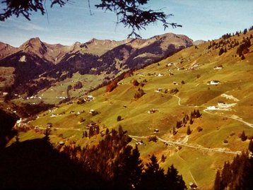 45. Walsersiedlung (Großes Walsertal) image-12510