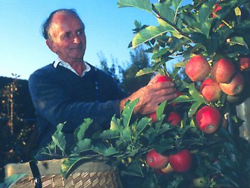 22. Erwerbsobstbau image-49969