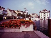 19. Rorschach image-16323