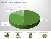 2a. Waldverteilung nach Bewirtschaftung image-54320