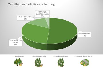 2a. Waldverteilung nach Bewirtschaftung image-54264