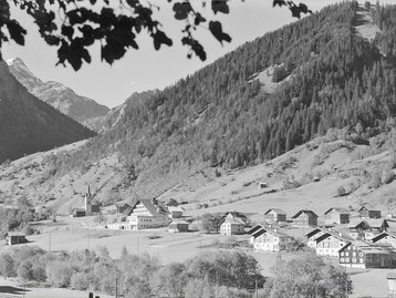 03. Brand image-5419