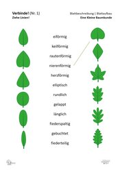ABL_Kleine_Baumkunde_Verbinde_1_Blattbeschreibung