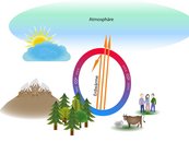 05a. Wald als Klimaregulator – ausgeglichener CO2-Kreislauf image-55124