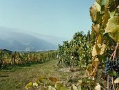 16. Rheintal bei Maienfeld image-6001