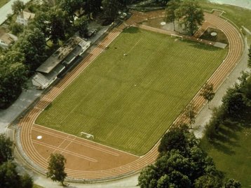 31. Birkenwiese image-5056