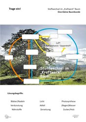 ABL_Kleine_Baumkunde_Trage_ein_Stoffwechsel