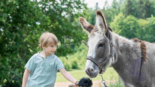 Bild: (c) Tierschutz macht Schule - Verwendung im Rahmen redaktioneller Berichterstattung