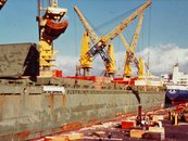 26. Liebherr image-6652