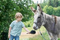 Bild: (c) Tierschutz macht Schule - Verwendung im Rahmen redaktioneller Berichterstattung