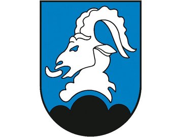 Wappen Bürserberg (standardisiert) image-84395