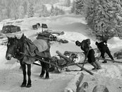 14a. Historische Holzbringung: Schlitten (Foto: Franz Beer - Stadtarchiv Dornbirn) image-54334