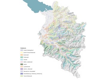 b. Waldkarte Vorarlberg II image-54162