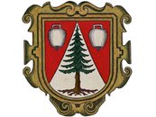 a. Wappen von Schoppernau image-59229