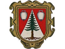 a. Wappen von Schoppernau image-59788