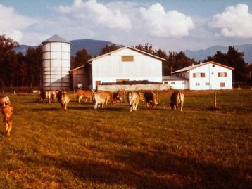 47. Neuer Siedlerhof image-12508