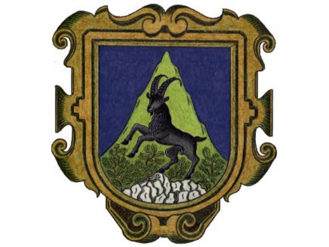 Wappen Mittelberg image-48681