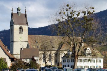12. Stadtpfarrkirche St. Gallus image-1770