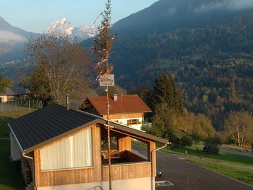 33. Geburtsbaum image-2428