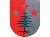 a. Wappen von Damüls image-59219